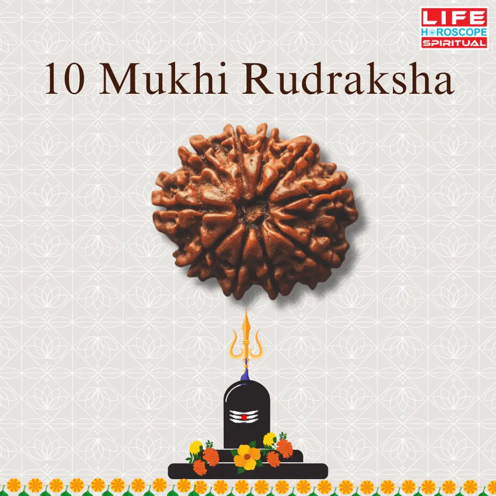 10 Mukhi Rudraksha