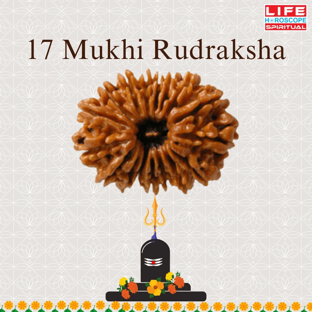 17 Mukhi Rudraksha