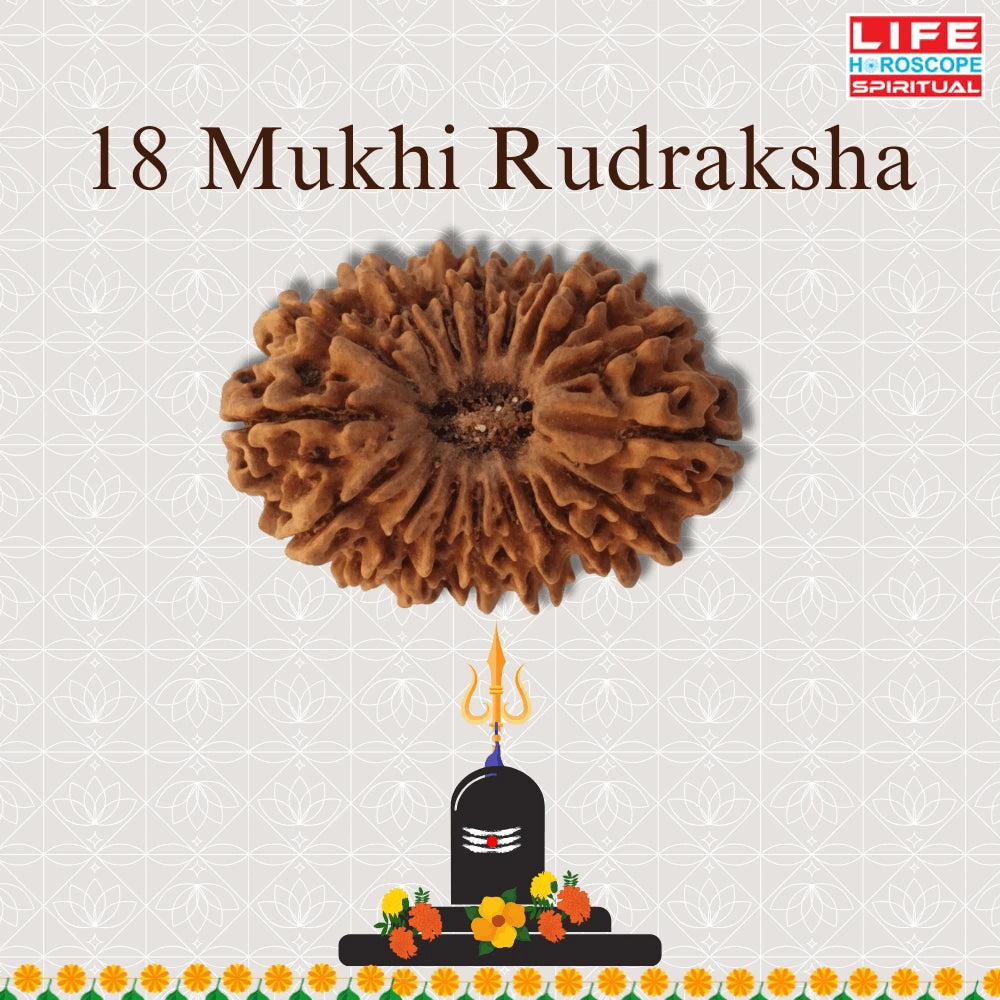18 Mukhi Rudraksha