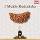 6 Mukthi Rudraksha