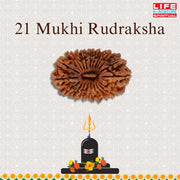 21 Mukhi Rudraksha