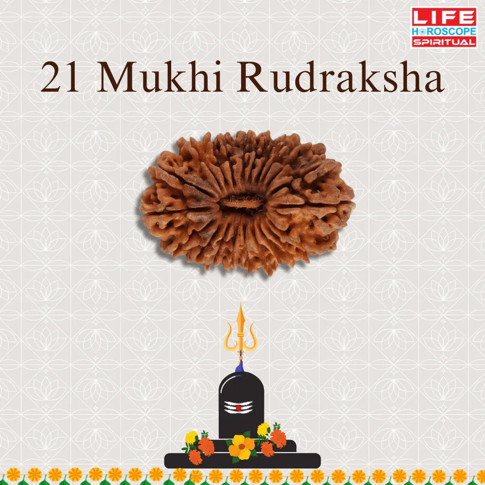 21 Mukhi Rudraksha