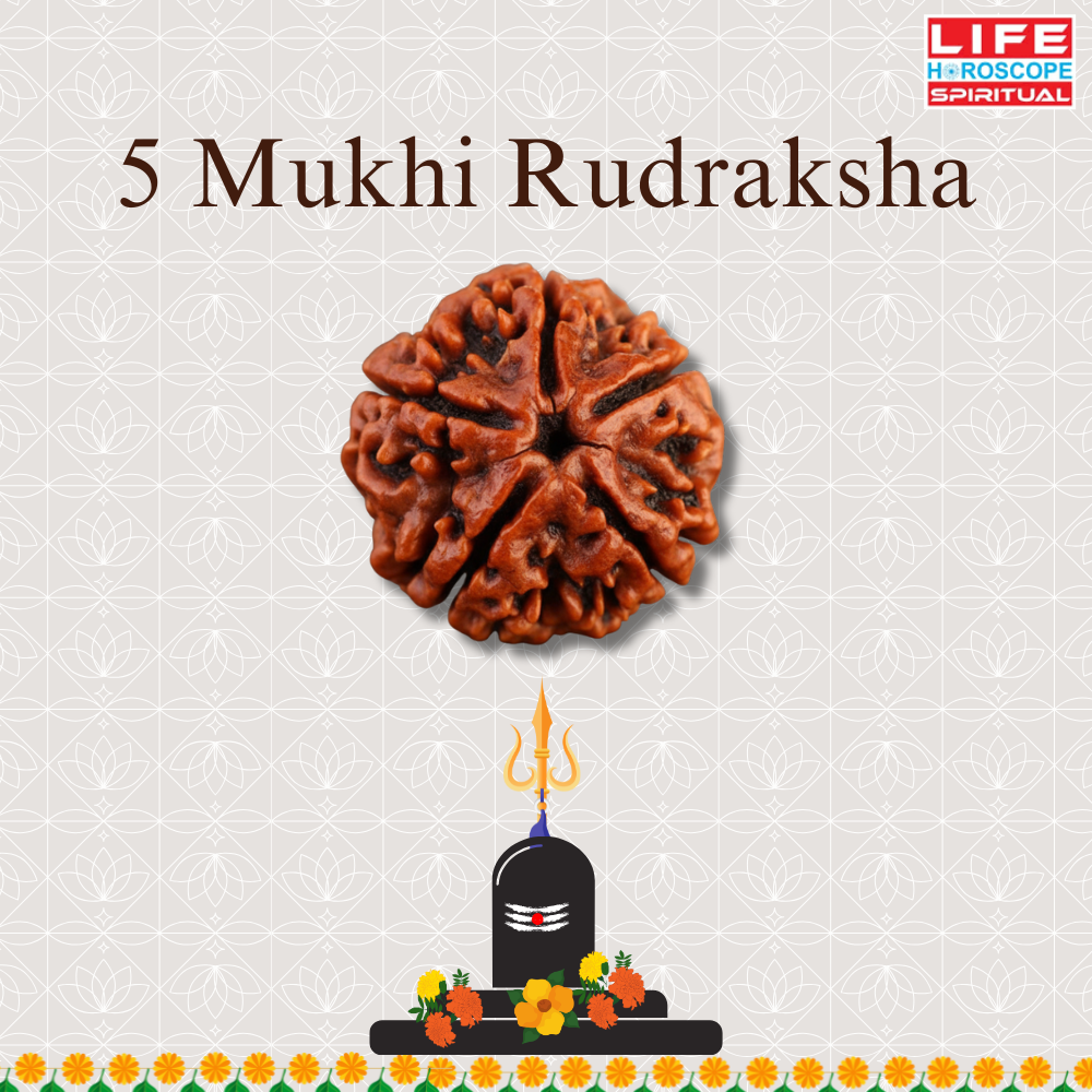 12 Mukthi Rudraksha