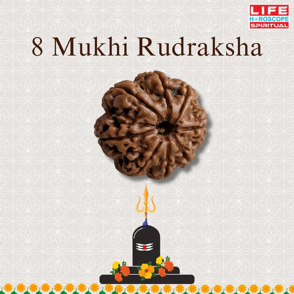 8 Mukhi Rudraksha