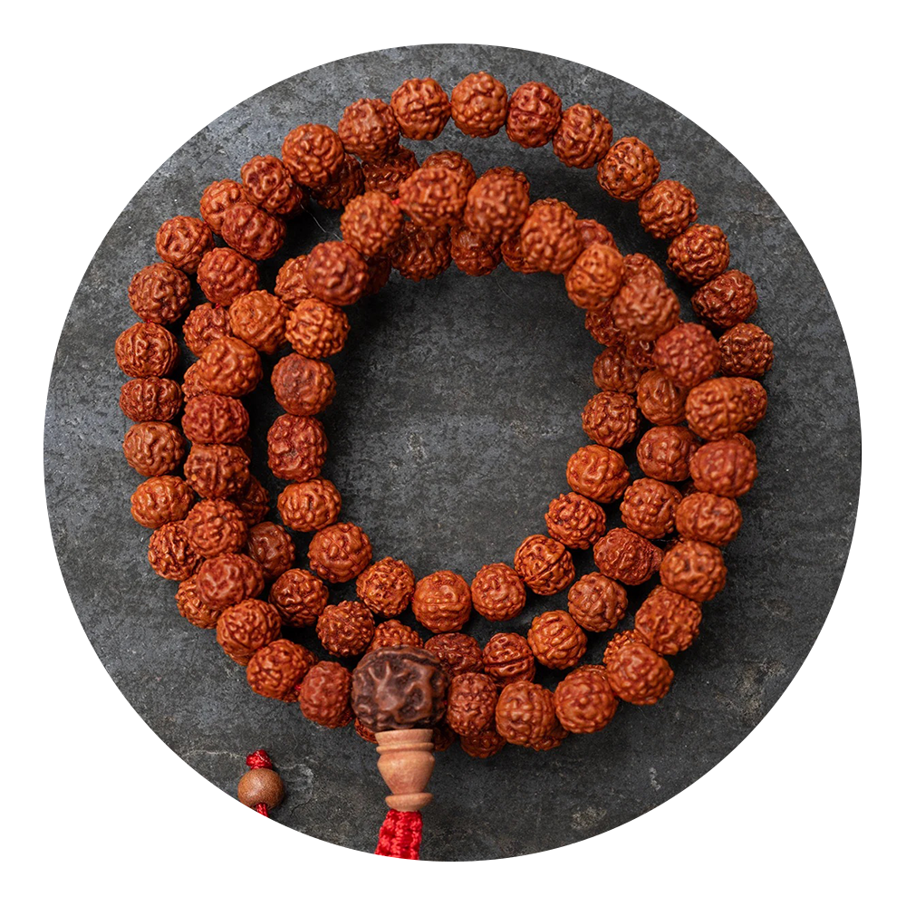 Rudraksha