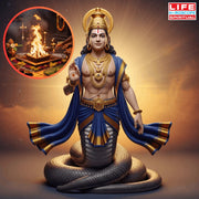 Rahu Homam