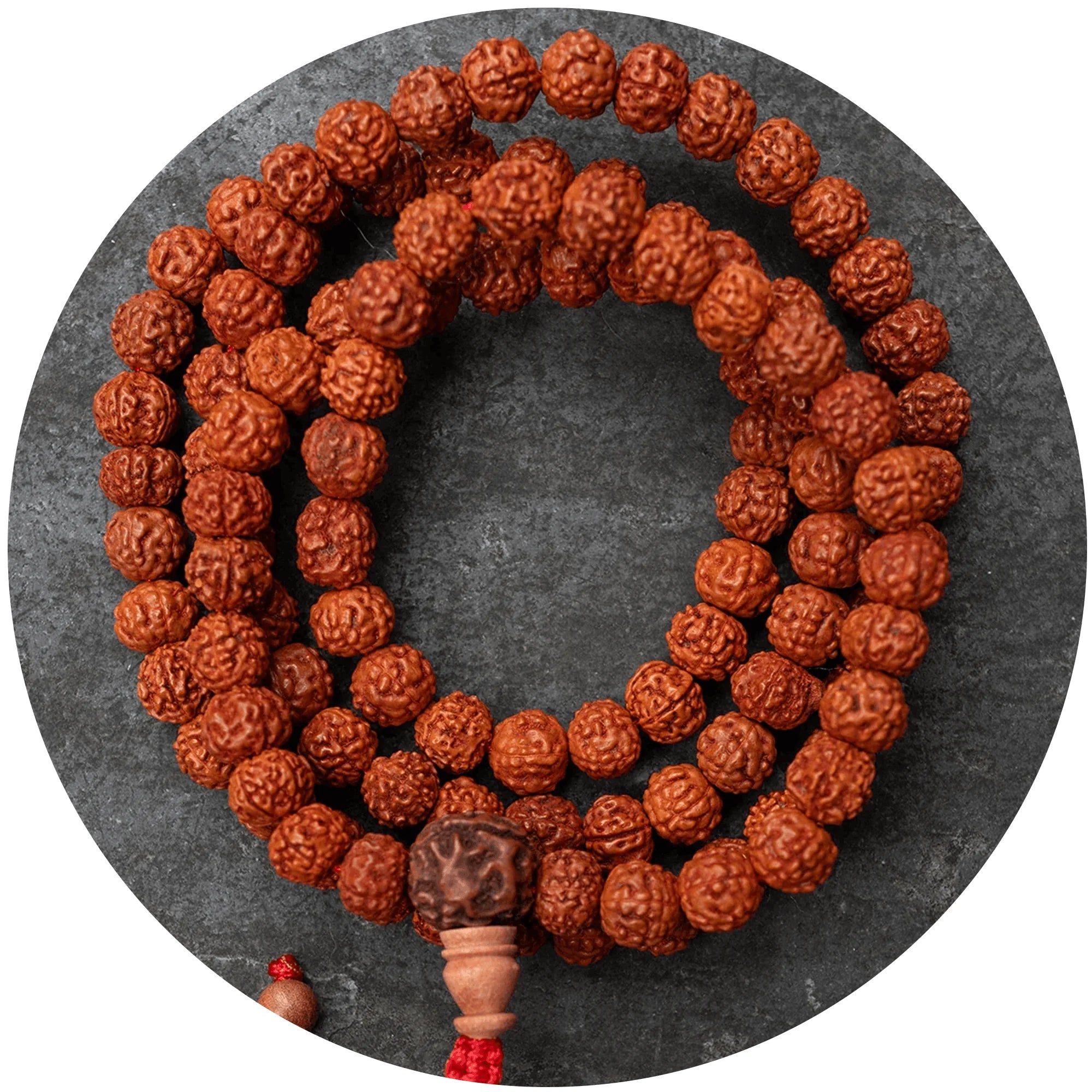 Rudraksha
